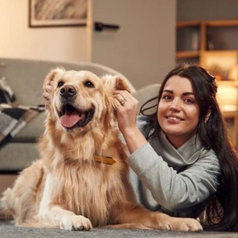 Köpeklerin Kendi Yaşam Alanları: Mutluluklarına Etkisi